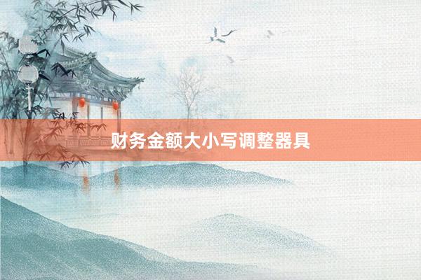 财务金额大小写调整器具