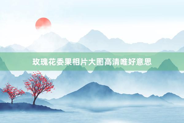 玫瑰花委果相片大图高清唯好意思